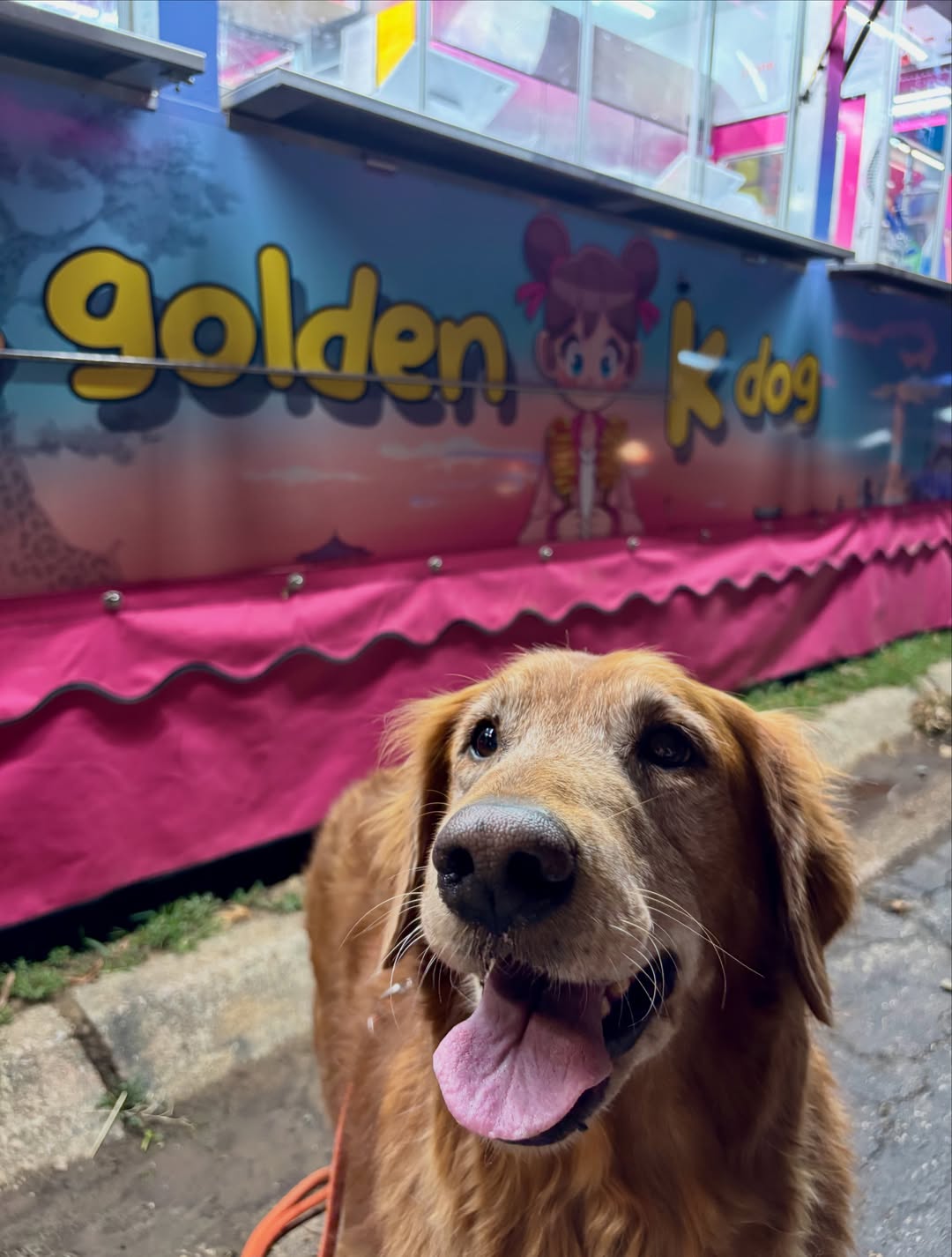 Golden Kdog’s golden retriever mascot in front of their colorful fair trailer